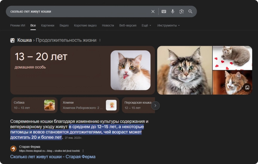 AEO (Answer Engine Optimization) 